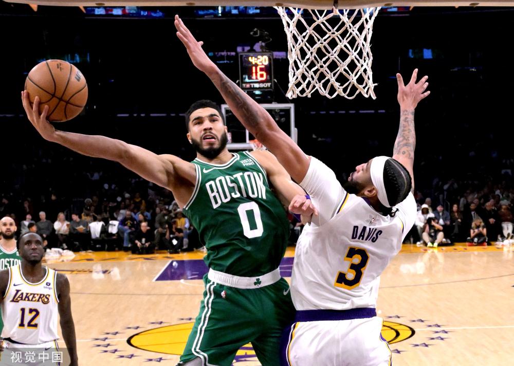 博洛尼亚的 博洛尼亚的