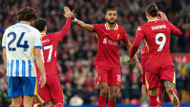 的姿态轻松 的姿态轻松